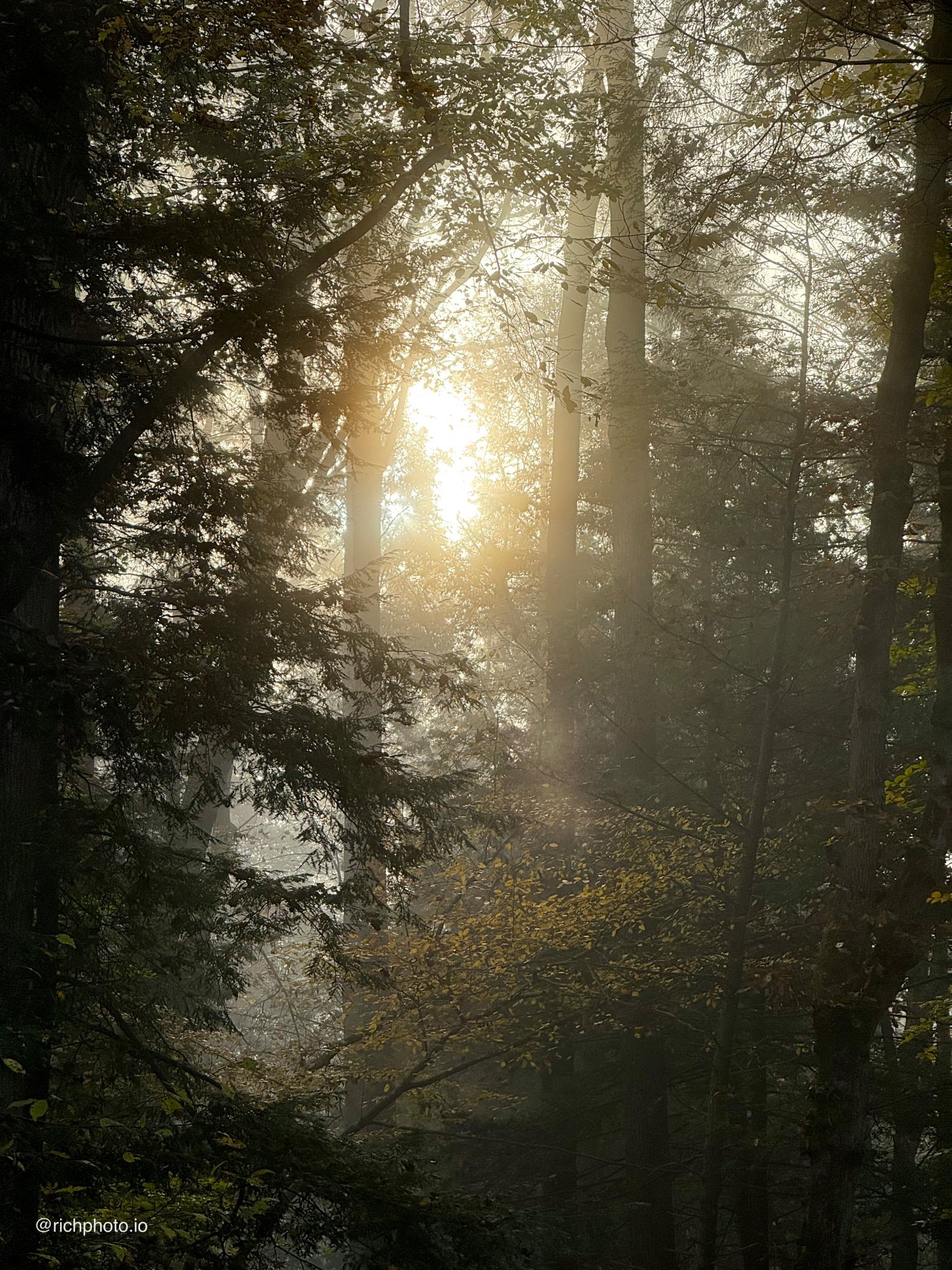 Great Smoky Mountains National Park