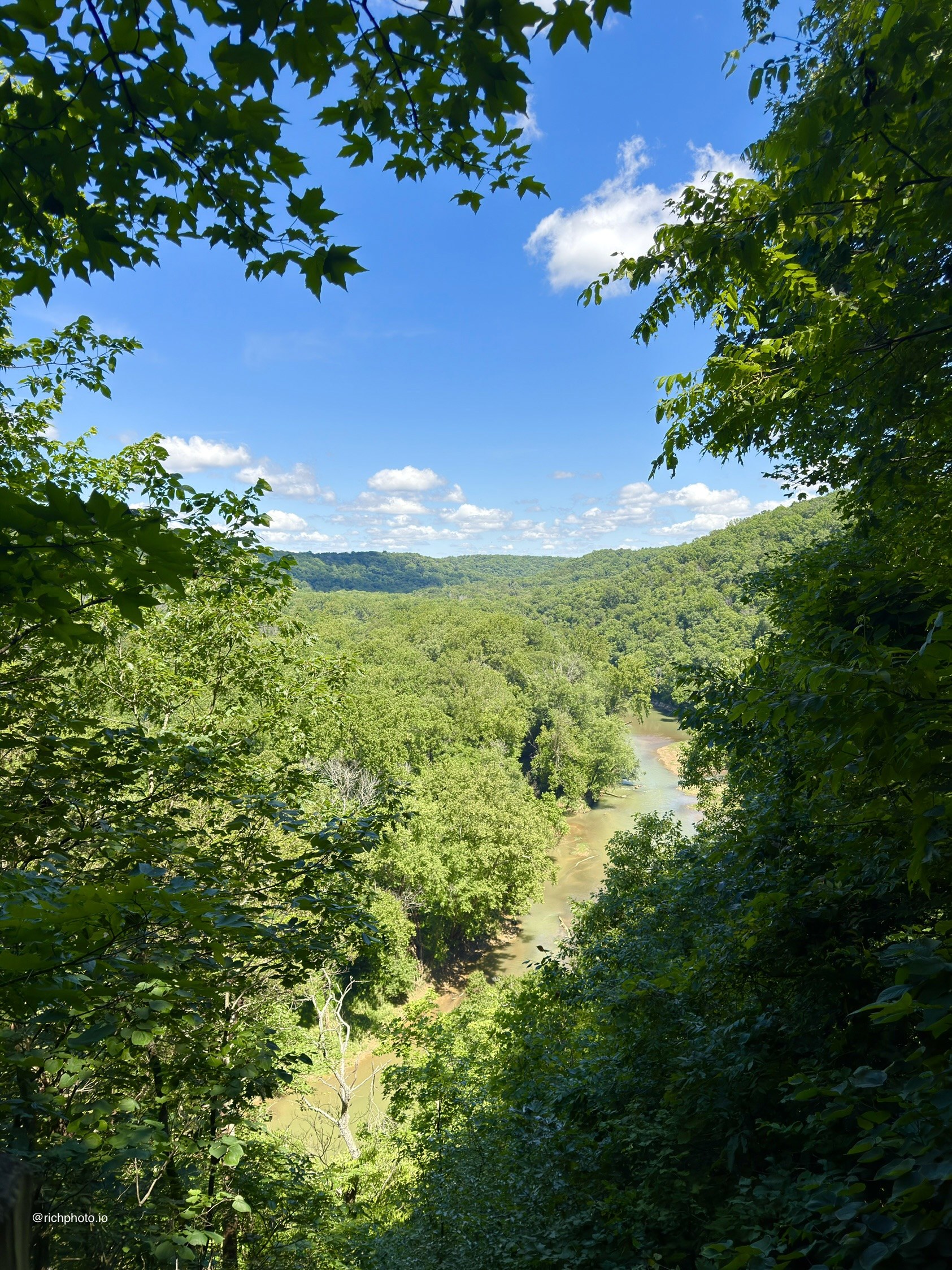 Through the Leaves, Mammoth Cave National Park, Kentucky