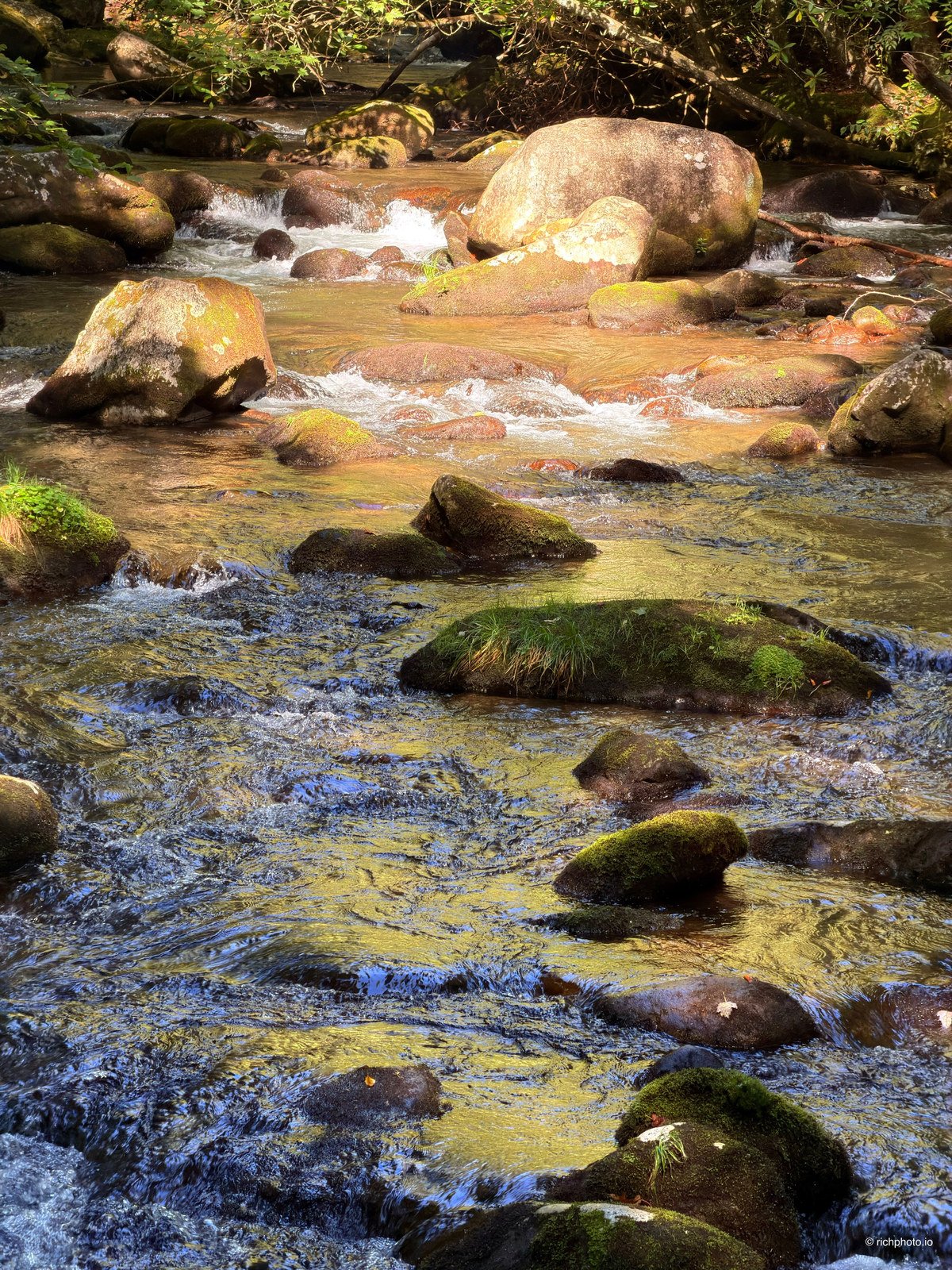 Creek Light, Great Smoky Mountains National Park