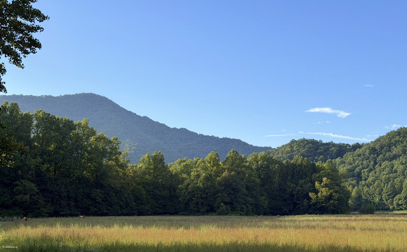 The Meadow, Great Smoky Mountains National Park
