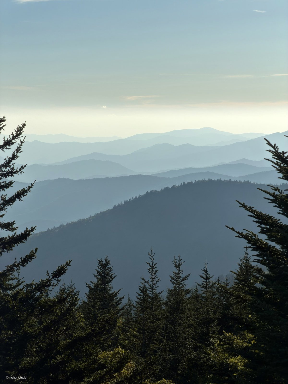 Through the Firs, Great Smoky Mountains National Park