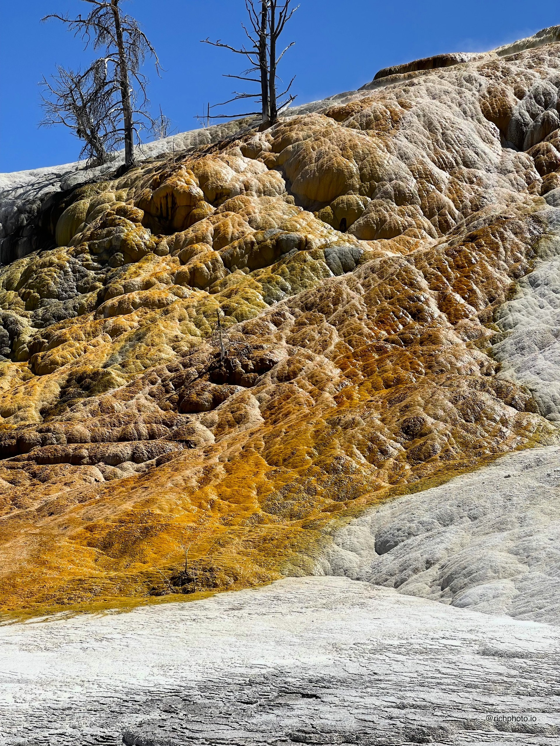 The Terrace, Yellowstone National Park